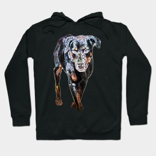 rottweiler Hoodie